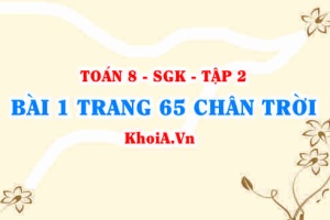 Bài 1 trang 65 Toán 8 Chân trời sáng tạo Tập 2